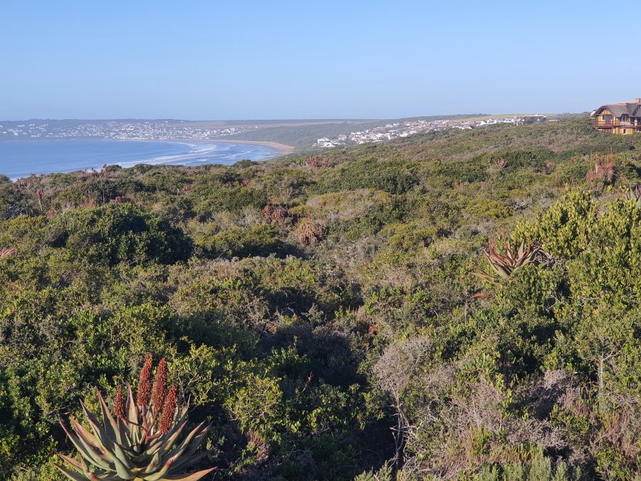0 Bedroom Property for Sale in Boggomsbaai Western Cape